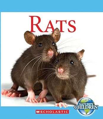 Rats