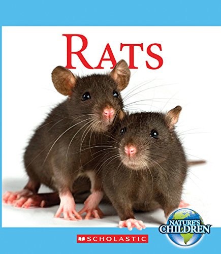 Rats by Josh Gregory