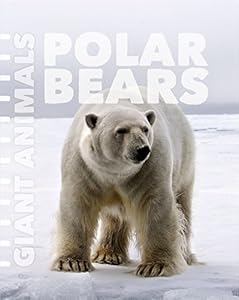 Polar bears