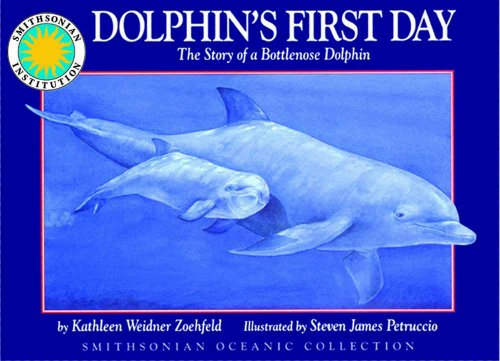 Dolphin's First Day: The Story of a Bottlenose Dolphin - a Smithsonian Oceanic Collection Book by Kathleen Weidner Zoehfeld