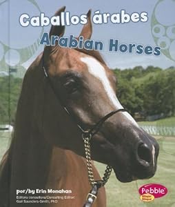 Caballos Arabes/ Arabian Horses