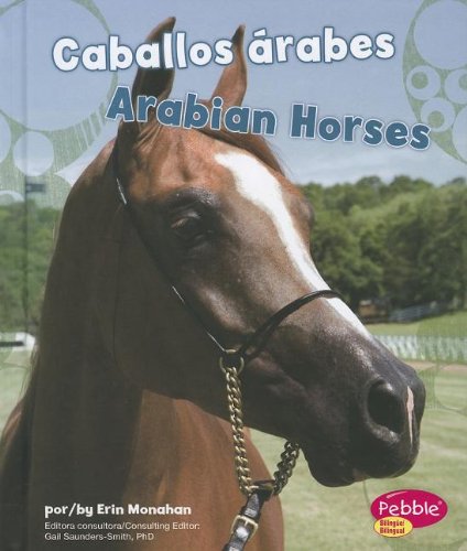 Caballos Arabes/ Arabian Horses by Erin Monahan