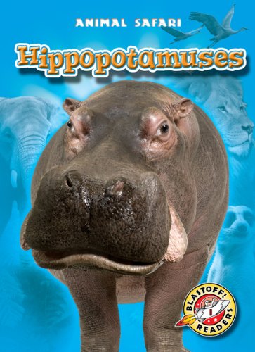 Hippopotamuses by Kari Schuetz