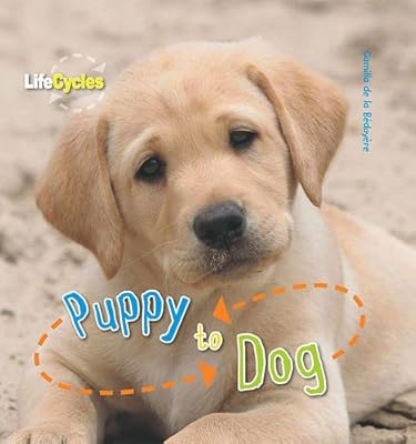 Life Cycles: Puppy to Dog