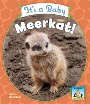 It's a Baby Meerkat!
