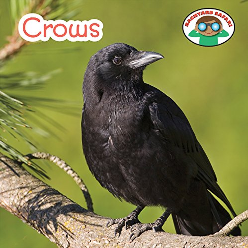 Crows by Steven Otfinoski