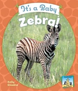 It's a Baby Zebra! (Sandcastle: Baby African Animals)