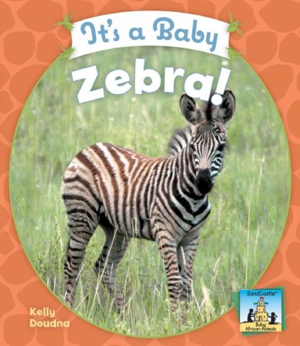 It's a Baby Zebra! (Sandcastle: Baby African Animals) by Kelly Doudna