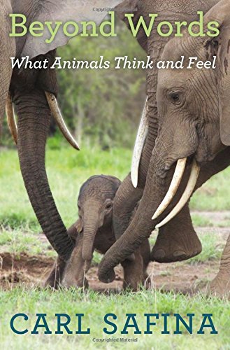 Beyond Words: What Animals Think and Feel by Carl Safina