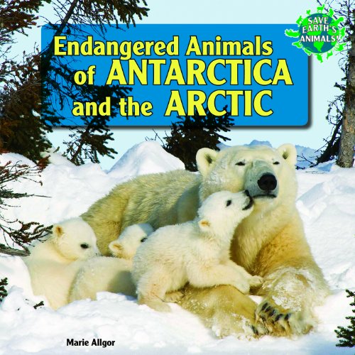 Endangered Animals of Antarctica and the Arctic by Marie Allgor