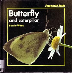 Butterfly and Caterpillar