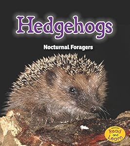 Hedgehogs: Nocturnal Foragers