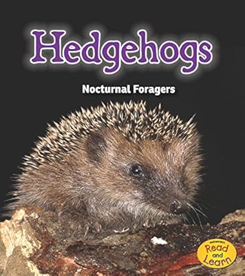 Hedgehogs: Nocturnal Foragers