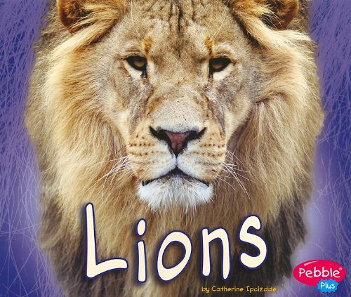 Lions by Catherine Ipcizade
