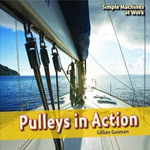 Pulleys in Action