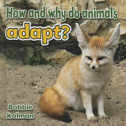 How and Why Do Animals Adapt? by Bobbie Kalman