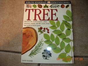 TREE (DK Eyewitness Books)
