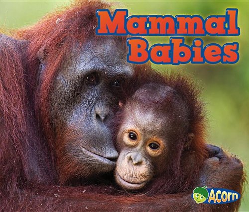Mammal Babies by Catherine Veitch