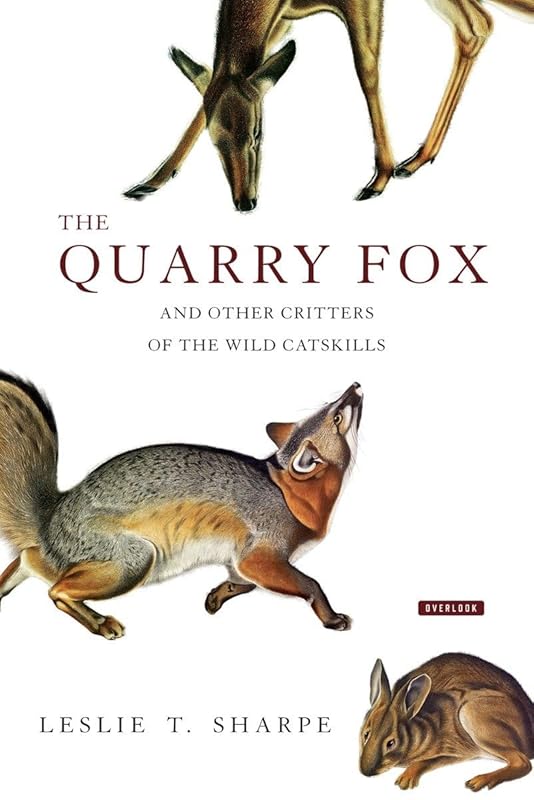 The Quarry Fox: And Other Critters of the Wild Catskills by Leslie T. Sharpe