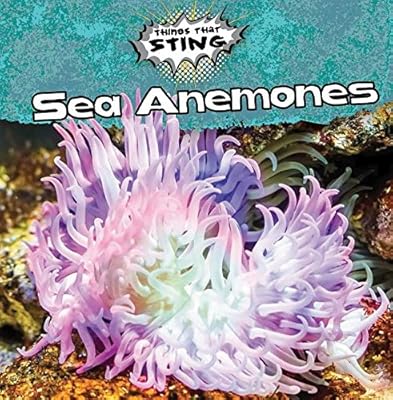Sea anemones.