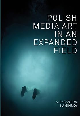 Polish Media Art in an Expanded Field