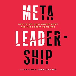 Meta-Leadership: How to See What Others Don’t and Make Great Decisions by Constance Dierickx