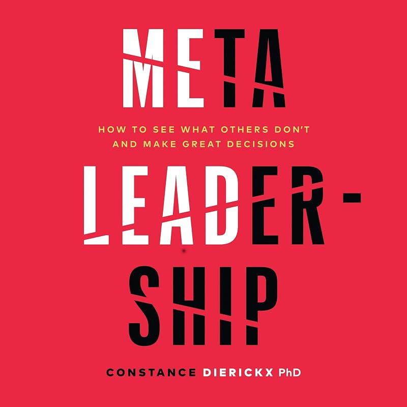 Meta-Leadership: How to See What Others Don’t and Make Great Decisions by Constance Dierickx