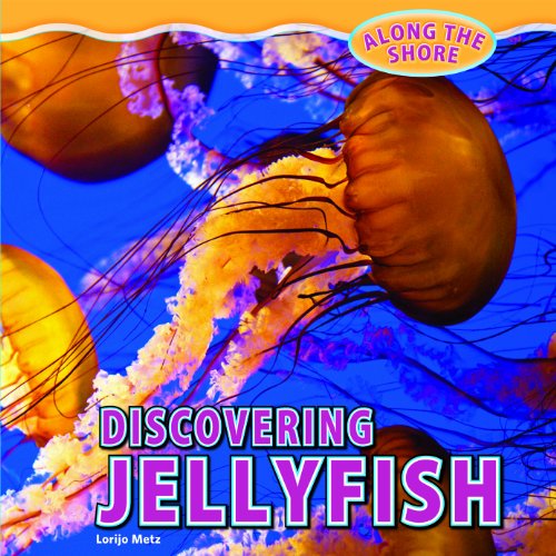 Discovering Jellyfish by Lorijo Metz