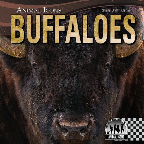 Buffaloes by Sheila Griffin Llanas