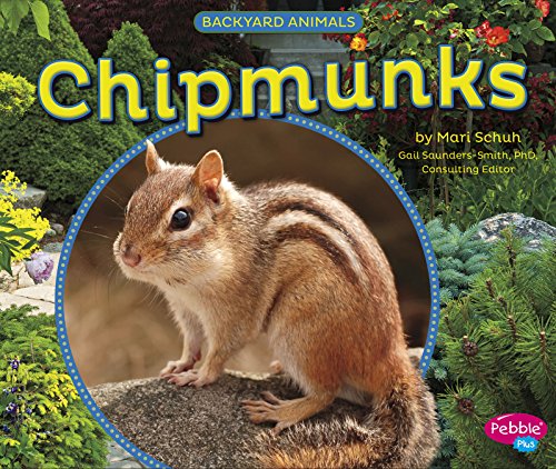 Chipmunks by Mari Schuh