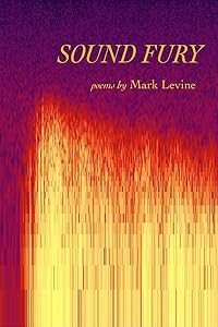 Sound Fury: Poems by Mark Levine