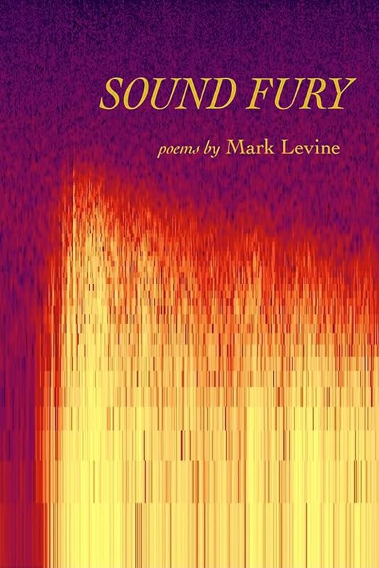 Sound Fury: Poems by Mark Levine