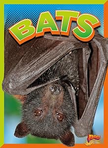 Bats (Wild Animal Kingdom)