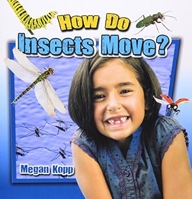 How Do Insects Move?