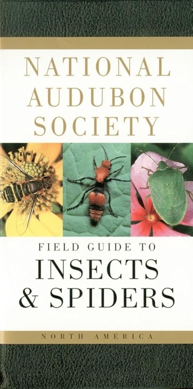 National Audubon Society Field Guide to Insects and Spiders: North America (National Audubon Society Field Guides) by National Audubon Society