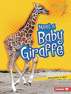 Meet a Baby Giraffe