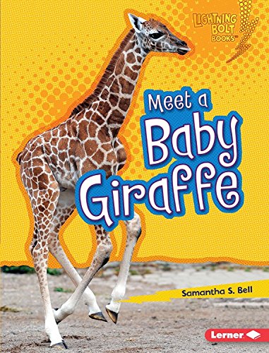 Meet a Baby Giraffe by Samantha S. Bell