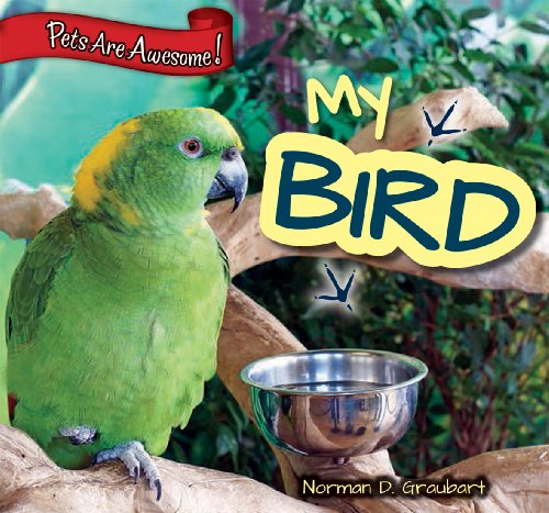 My Bird by Norman D Graubart