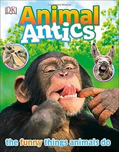Animal Antics