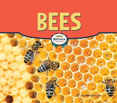 Bees (Nature's Friends)
