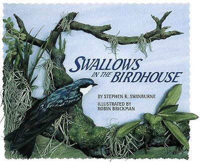 Swallows in the Birdhouse