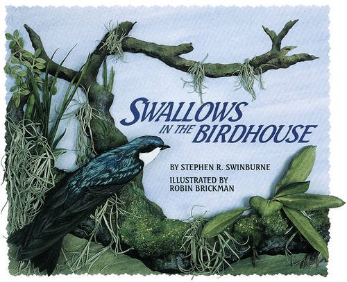 Swallows in the Birdhouse by stephen r. swinburne