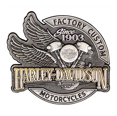 Harley-Davidson Men's Factory Custom Pin, Antique Silver & Gold Finish P142234