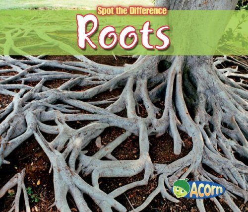 Roots (Spot the Difference: Plants) by Charlotte Guillain