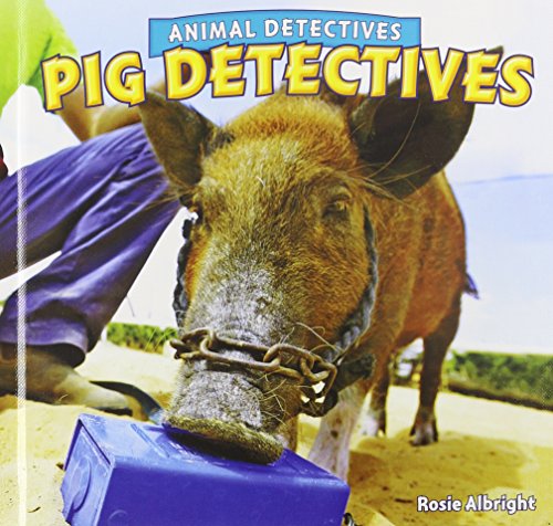 Pig Detectives by Rosie Albright