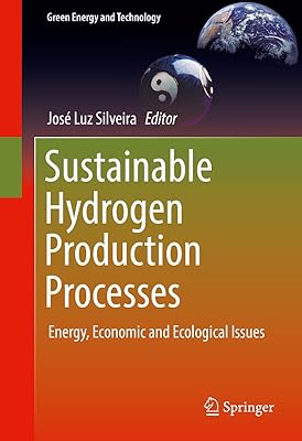 Sustainable Hydrogen Production Processes: Energy, Economic and Ecological Issues (Green Energy and Technology)
