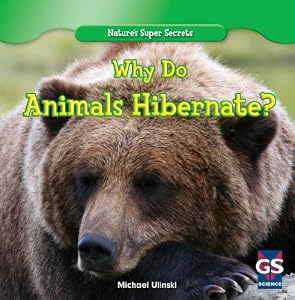 Why Do Animals Hibernate? (Nature's Super Secrets)