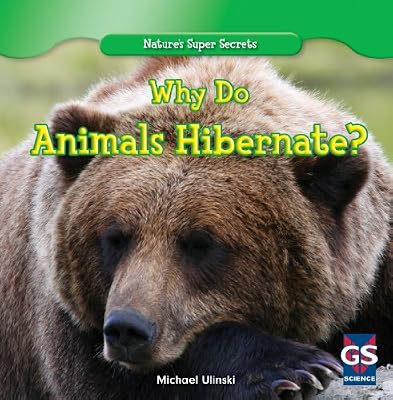 Why Do Animals Hibernate? (Nature's Super Secrets)