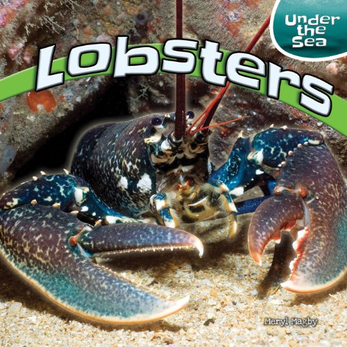 Lobsters by Meryl Magby