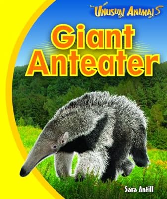 Giant Anteater